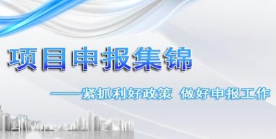 <font color='#0000FF'>项目申报</font>