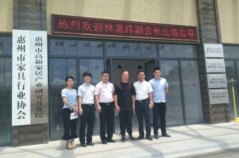 林洛炜副会长莅临协会指导组织建设工作